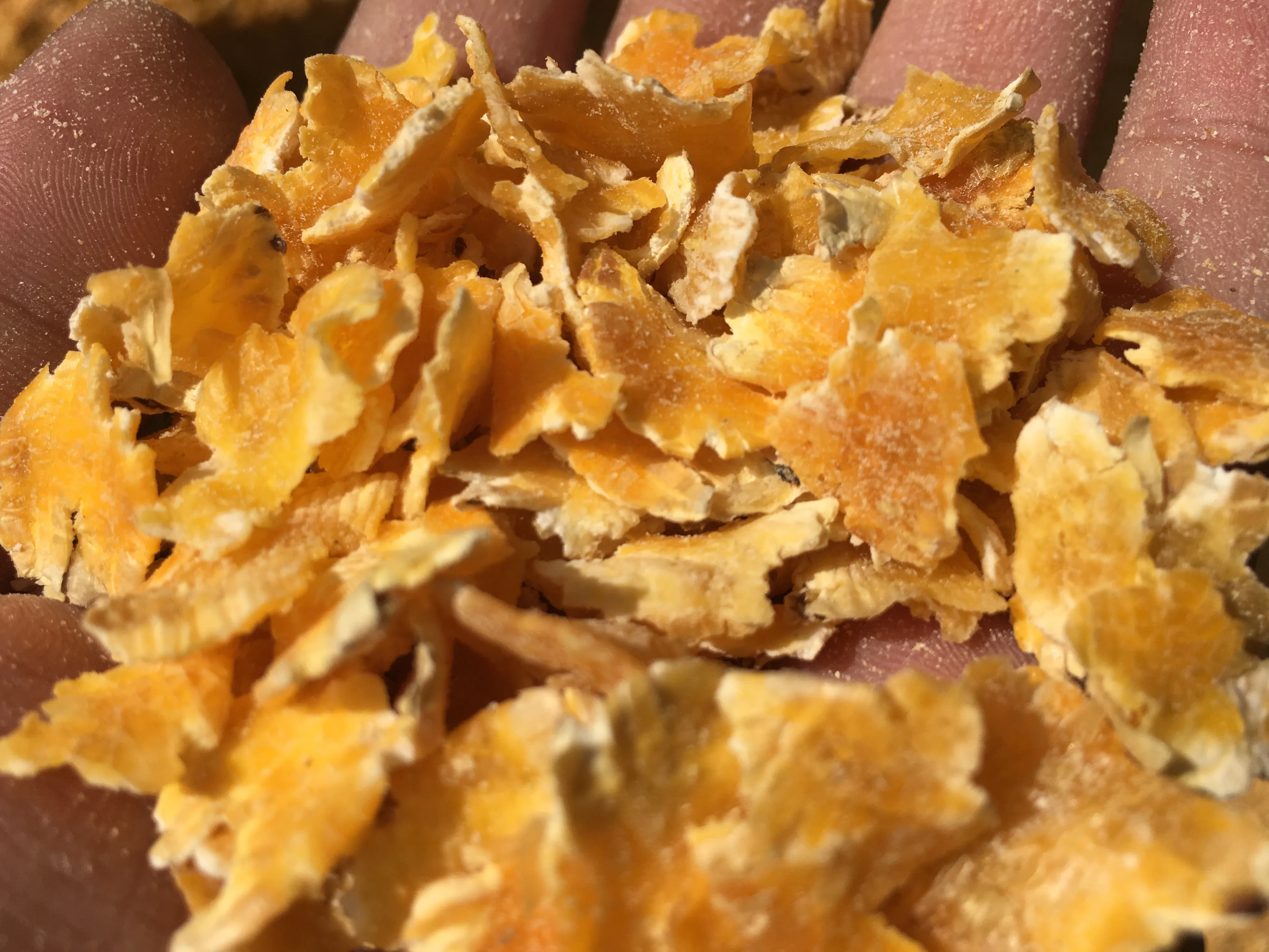 Corn flakes output thumbnail