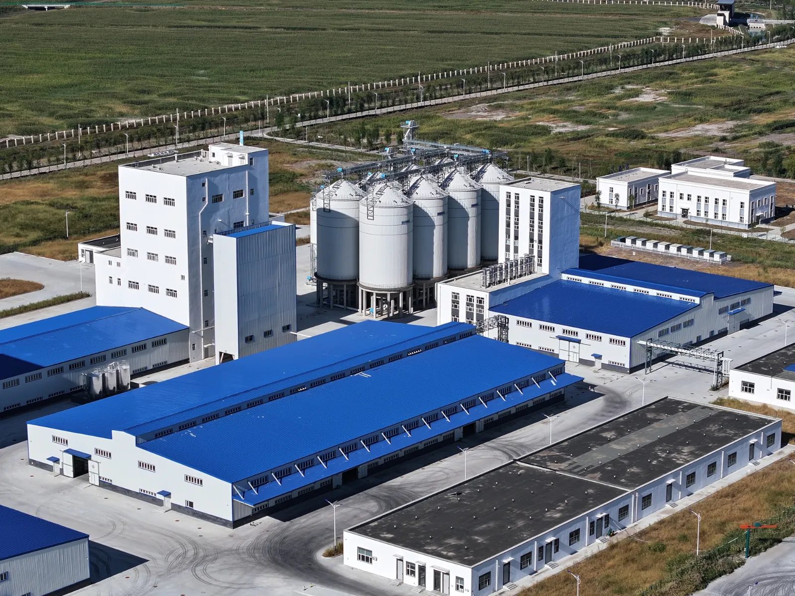 Chengkai Group steam-flaked corn line case image