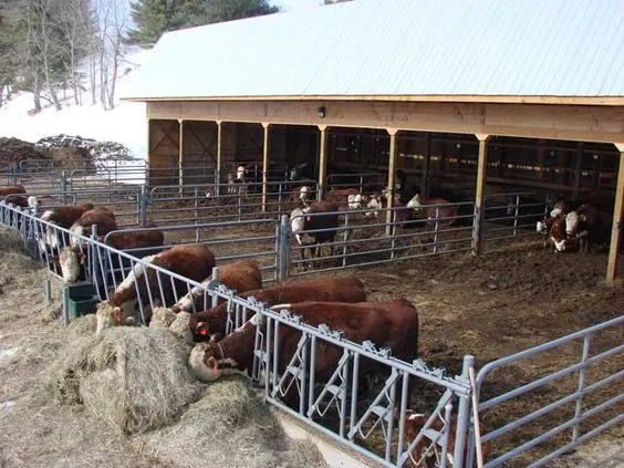 Small Feed Mill