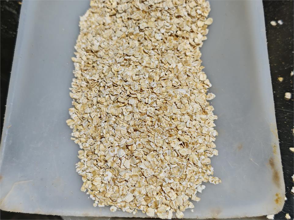 Oat flakes output sample