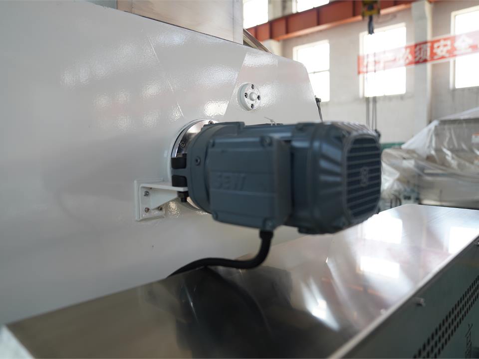Motor side detail