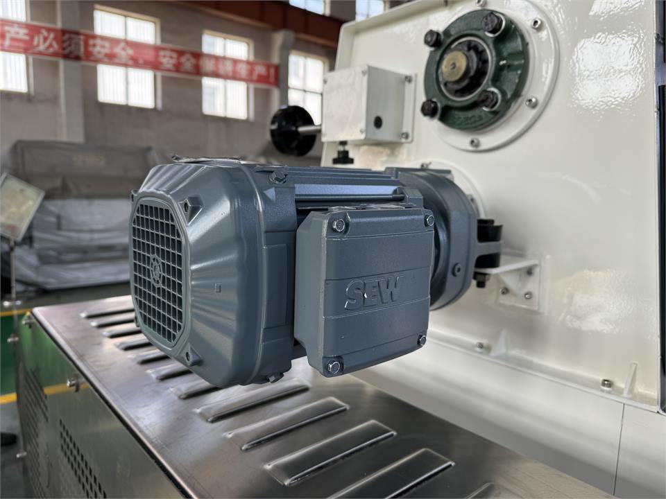 Drive motor detail