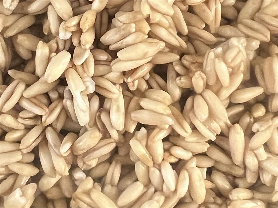 Oat groats output sample