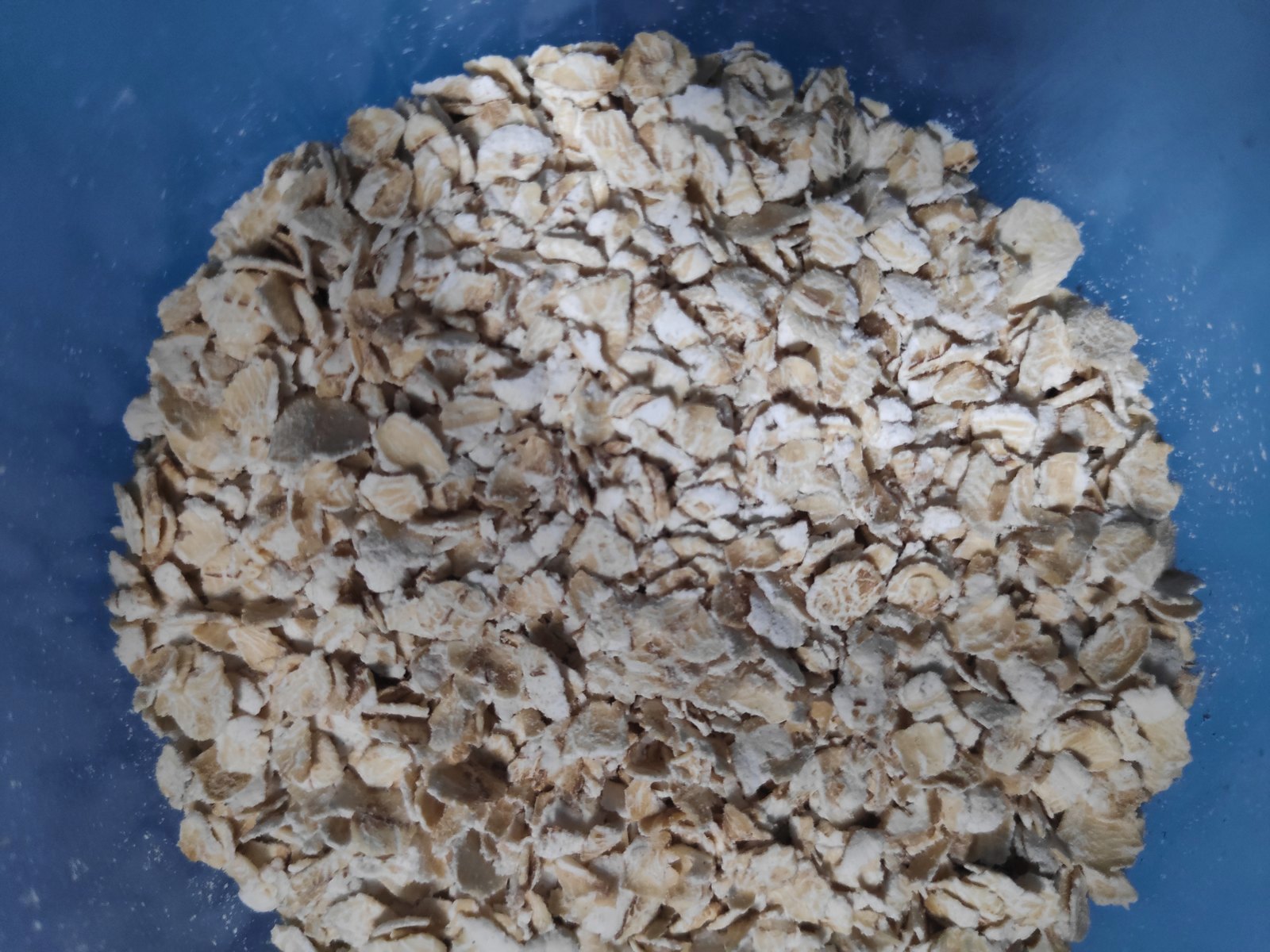 Oats material preview