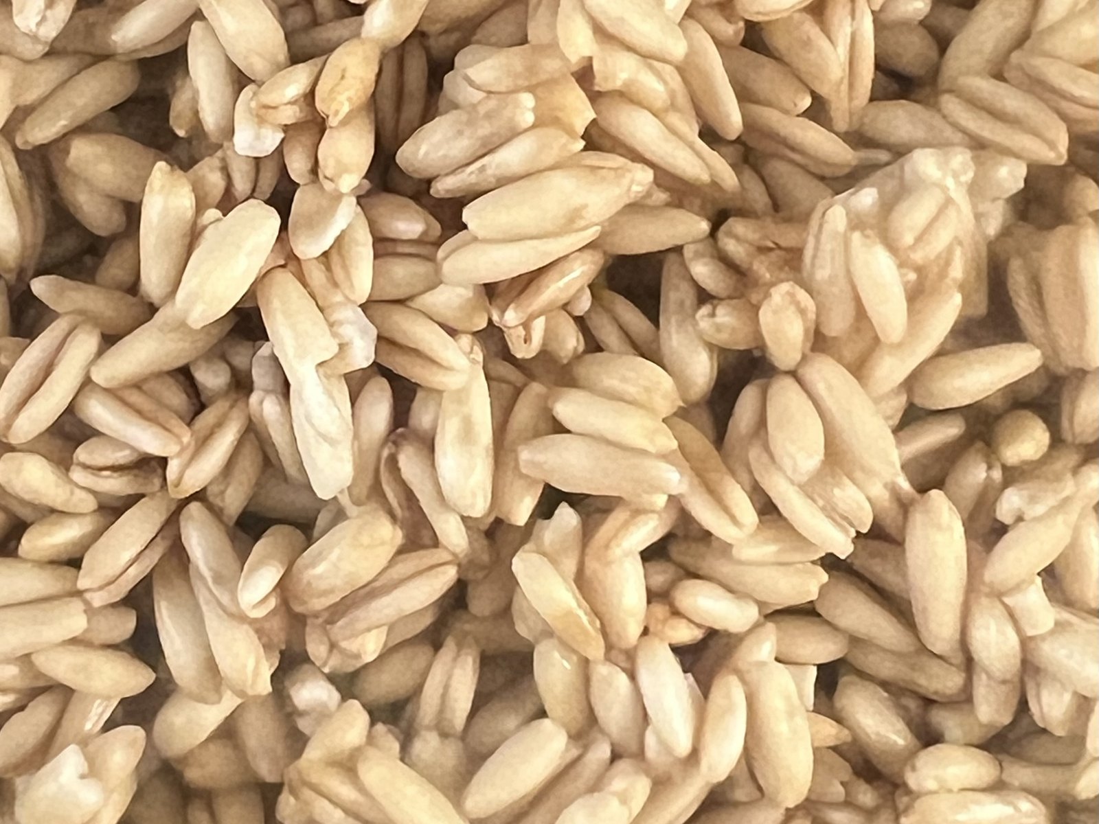 Raw oats reference